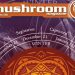 mushroom-2006-01_WEB